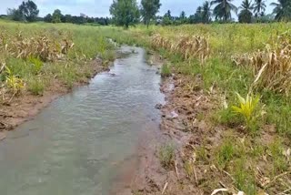 ಕೆರೆ ಕೋಡಿ ಬಿದ್ದಿರುವುದು