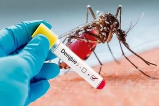 first death in dengue in Siliguri