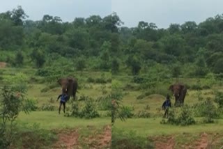 video of Villagers provoke elephant in Kanker