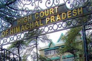 himachal high cour