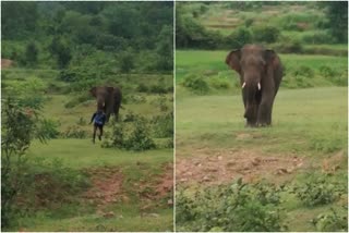 video of an elephant running a villager  കാട്ടാന ശല്യം  ആനയെ തുരത്തുന്ന ദൃശ്യം  ആന ഗ്രാമവാസികളെ ഓടിക്കുന്ന ദൃശ്യം  കാങ്കർ ജില്ലയിൽ കാട്ടാന  elephant in Kankar district  Elephant chase scene  national news  viral videos  ദേശീയ വാർത്തകൾ  വൈറൽ വീഡിയോകൾ