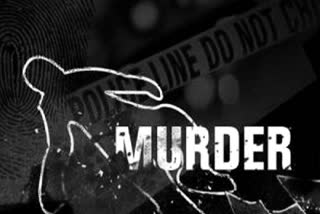 man killed his brother in law wife