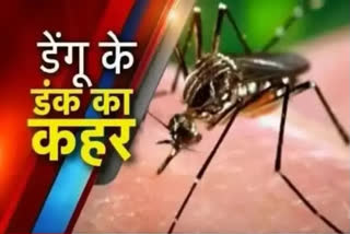 Dengue cases in Ambala
