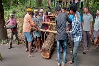 बस्तर दशहरा पर्व