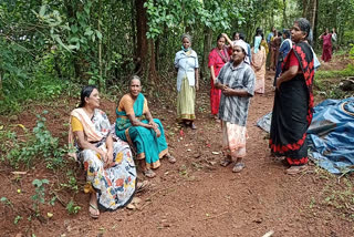 തൊഴിലുറപ്പ് തൊഴിലാളികൾക്ക് കടന്നലിൻ്റെ കുത്തേറ്റു  പെരുവയലിൽ തൊഴിലാളികൾക്ക് കടന്നലിൻ്റെ കുത്തേറ്റു  workers were stung by wasps in Kozhikode  wasps stung in Kozhikode  തൊഴിലുറപ്പ് ജോലിക്കിടെ കടന്നൽ കുത്തേറ്റു