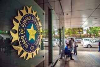 supreme court allows BCCI plea to modify its constitution