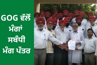 Gog demand letter to MLA Naresh Kataria in Zira