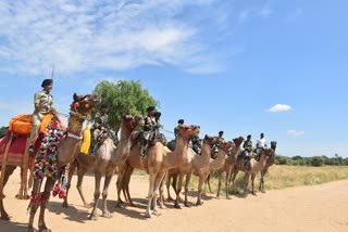 Camel riding female squad added in BSF