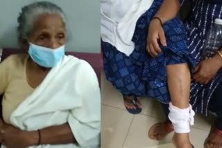 malappuram stray dog attack old woman injured  malappuram stray dog attack  stray dog attack old woman injured  91 കാരിയെ വീട്ടില്‍ കയറി കടിച്ച് തെരുവുനായ  മലപ്പുറം ചുങ്കത്തറ ഞാറപ്പാടം  Malappuram Chungattara Naarapadam  നിലമ്പൂര്‍ ജില്ല ആശുപത്രിയില്‍  Nilambur district hospital