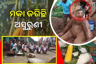 ଆଦିବାସୀଙ୍କ ବିଶ୍ବାସର ପର୍ବ ଜନା ସରଣୀ ପୂଜା, ଫସଲର ପ୍ରଥମ ଅମଳ ଖାଇଥାଏ ଅସୁରୁଣୀ