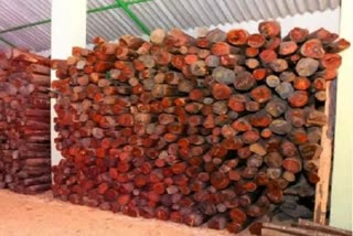 Red Sanders Wood Smuggling Racket Busted Panipat