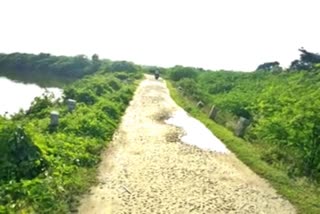 mysore-halepur-lake-road-damaged