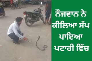 dangerous snake from outside the Patiala flyover hotel