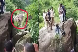 Trivendra Singh Rawat Elephant Attack Video