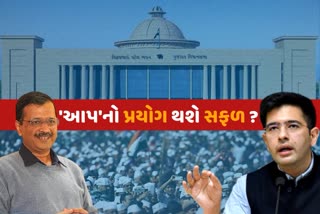 AAP CM Face Raghav Chadha Gujarat