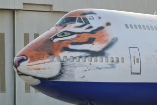 special Tiger printed plane Photos