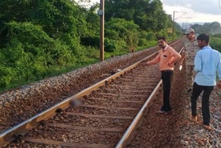 Woman dies after being hit by train in Dantewada