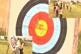 Archery expert