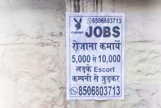 Playboy Job Poster Kotdwar