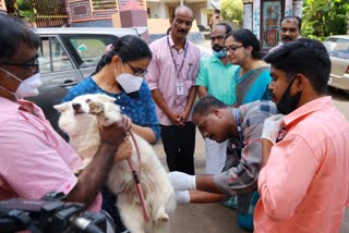 pta dog issue  ലൈസന്‍സ്  തെരുവ് നായ ആക്രമണം  പത്തനംതിട്ട  പത്തനംതിട്ടയില്‍ ആക്ഷന്‍ പ്ലാന്‍ നടപ്പാക്കി  ആക്ഷന്‍ പ്ലാന്‍  ജില്ല കലക്‌ടര്‍  കലക്‌ടര്‍  Pathanamthitta  action plan started  Pathanamthitta news  Pathanamthitta news updates  latest news in Pathanamthitta  kerala news updates  stray dogs