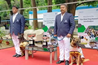 Tata Steel kennel Club Dog Beauty and CJ