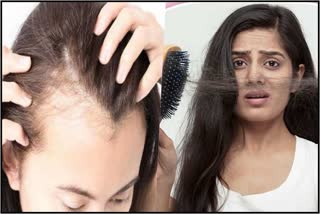 Hair Fall Solution