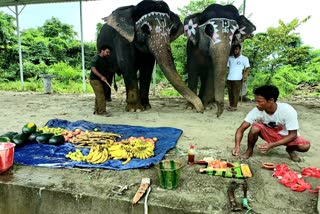 People Worshipped Elephant on Vishwakarma Puja