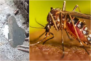 Dengue in Bankura