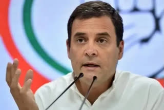 EIGHT CHEETAHS HAVE COME BUT WHERE ARE 16 CRORE JOBS SAYS RAHUL GANDHI