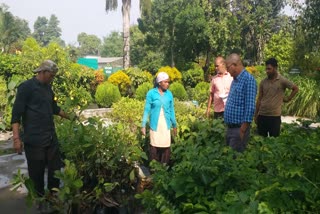 haldwani forest research center