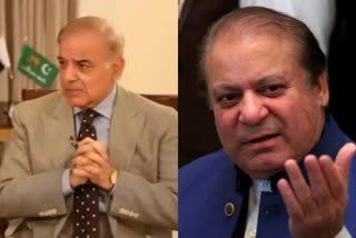 Pakistan PM Shehbaz Sharif to consult his brother Nawaz Sharif on Army chief's appointment: Report