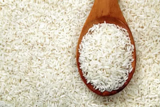 Fall in Kharif output may keep rice prices at elevated levels