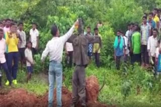 700 Maoist supporters surrender before Odisha Police & BSF