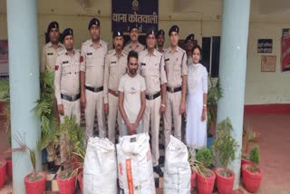 Ganja smuggler arrested in Kawardha