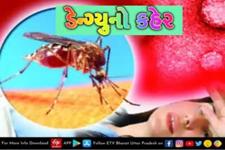 Etv Bharatડેન્ગ્યુના આ લક્ષણોને અવગણતા હોય તો ચેતી જજો