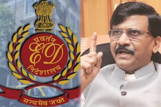 Hearing on Sanjay Raut