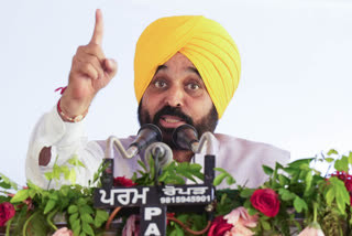 CM Bhagwant Mann deplaned at Frankfurt airport due to excess alcohol consumption, alleges Pratap Bajwa