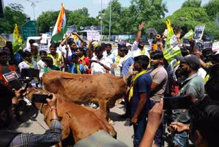 Rashtriya Loktantrik Party Protest in Ajmer