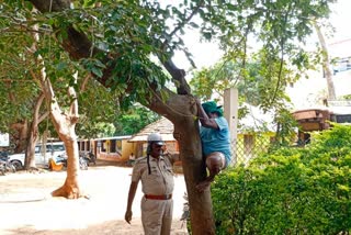 farmer-tried-to-commit-suicide-by-climbing-tree-near-ac-office