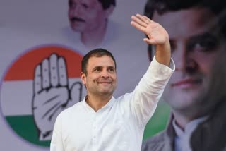 Rahul Gandhi Congress President