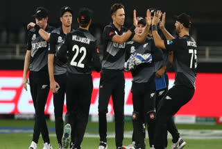 Kane Williamson set to lead T20 World Cup squad  Kane Williamson  T20 World Cup  New Zealand T20 World Cup squad  New Zealand cricket team  ടി20 ലോകകപ്പ്  കെയ്‌ന്‍ വില്യംസണ്‍  ട്രെന്‍റ് ബോള്‍ട്ട്  Trent Boult  james neesham  ജെയിംസ്‌ നീഷാം  ടി20 ലോകകപ്പില്‍ കിവീസിനെ വില്യംസണ്‍ നയിക്കും  ന്യൂസിലന്‍ഡ് ക്രിക്കറ്റ് ബോര്‍ഡ്  New Zealand Cricket Board