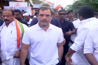 13th day of Rahul Gandhi's 'Bharat Jodo Yatra'