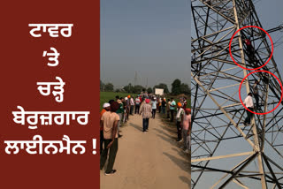 Jobless linemens climb atop electricity tower