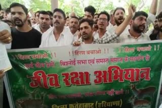 Bishnoi youth protest in Fatehabad