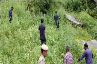 Charas cultivation in Kullu