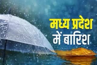 Rain in MP in next 24 hours
