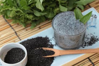 Basil Seeds Health Benefits: କୋଷ୍ଠକାଠିନ୍ୟ, ଉଦାସୀନତା ଭଳି ଜଟିଳ ସମସ୍ୟା ଦୂର କରେ ତୁଳସୀ ମଞ୍ଜି