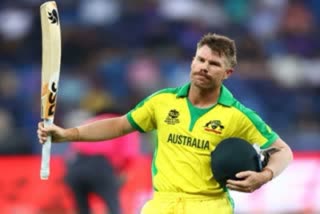 david warner