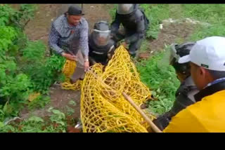 Leopard Trapped In Warulwadi