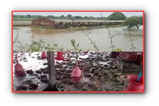 Heavy rain in Ujani village